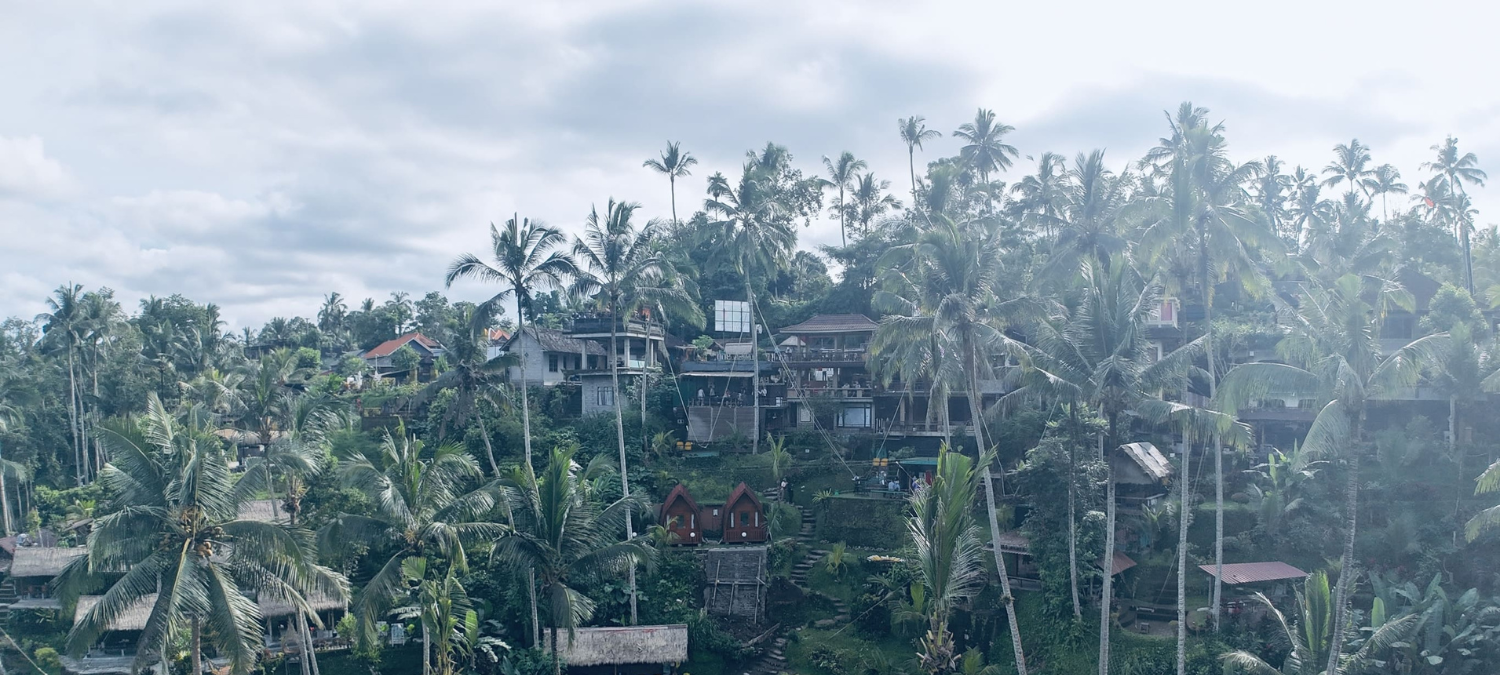VISITER UBUD EN 3 JOURS | UN ENDROIT IMMANQUABLE 